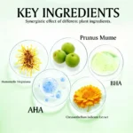 Green Plum Refreshing Toner Spu993060646320 4