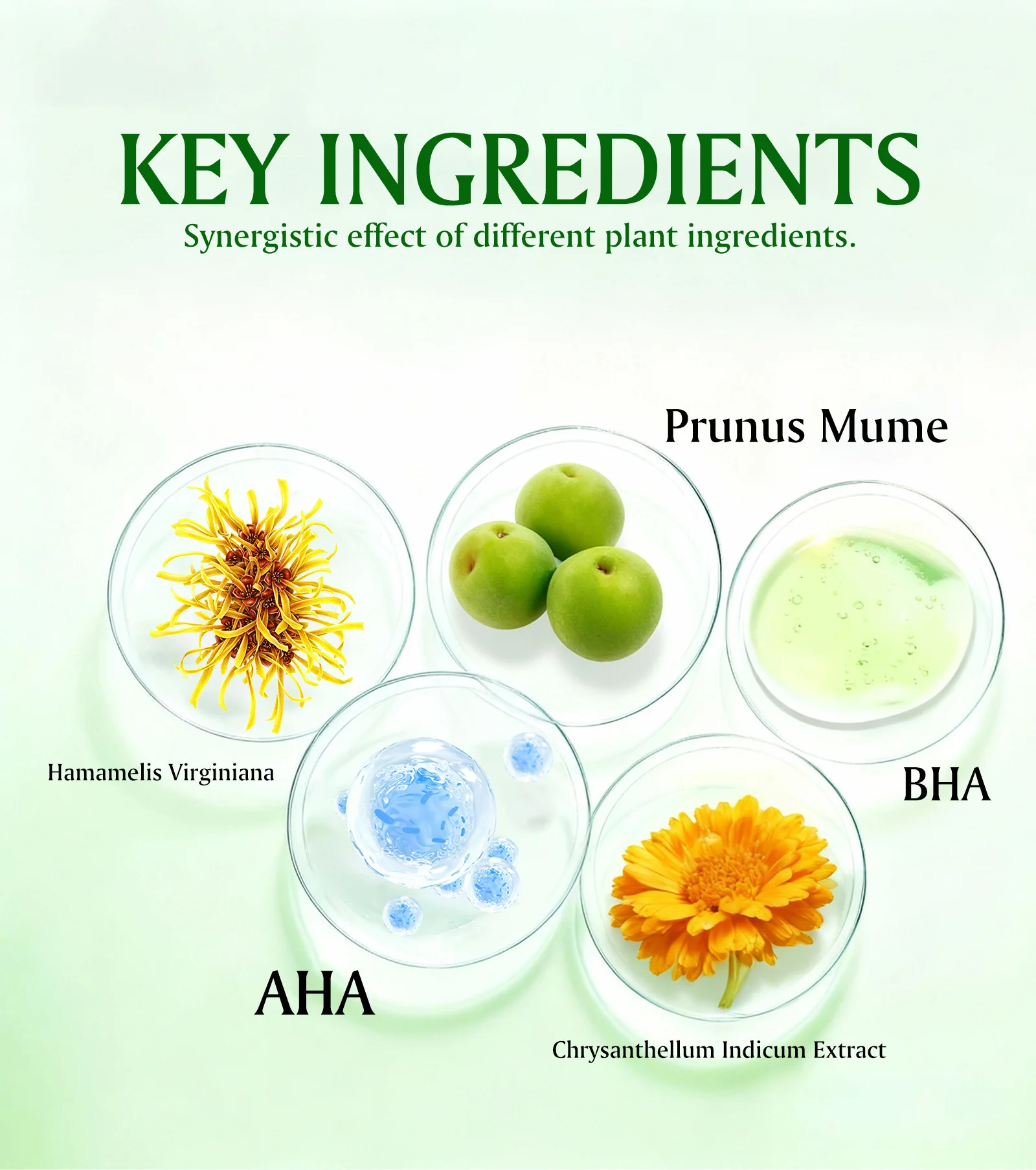 green plum refreshing toner spu993060646320 desc 3