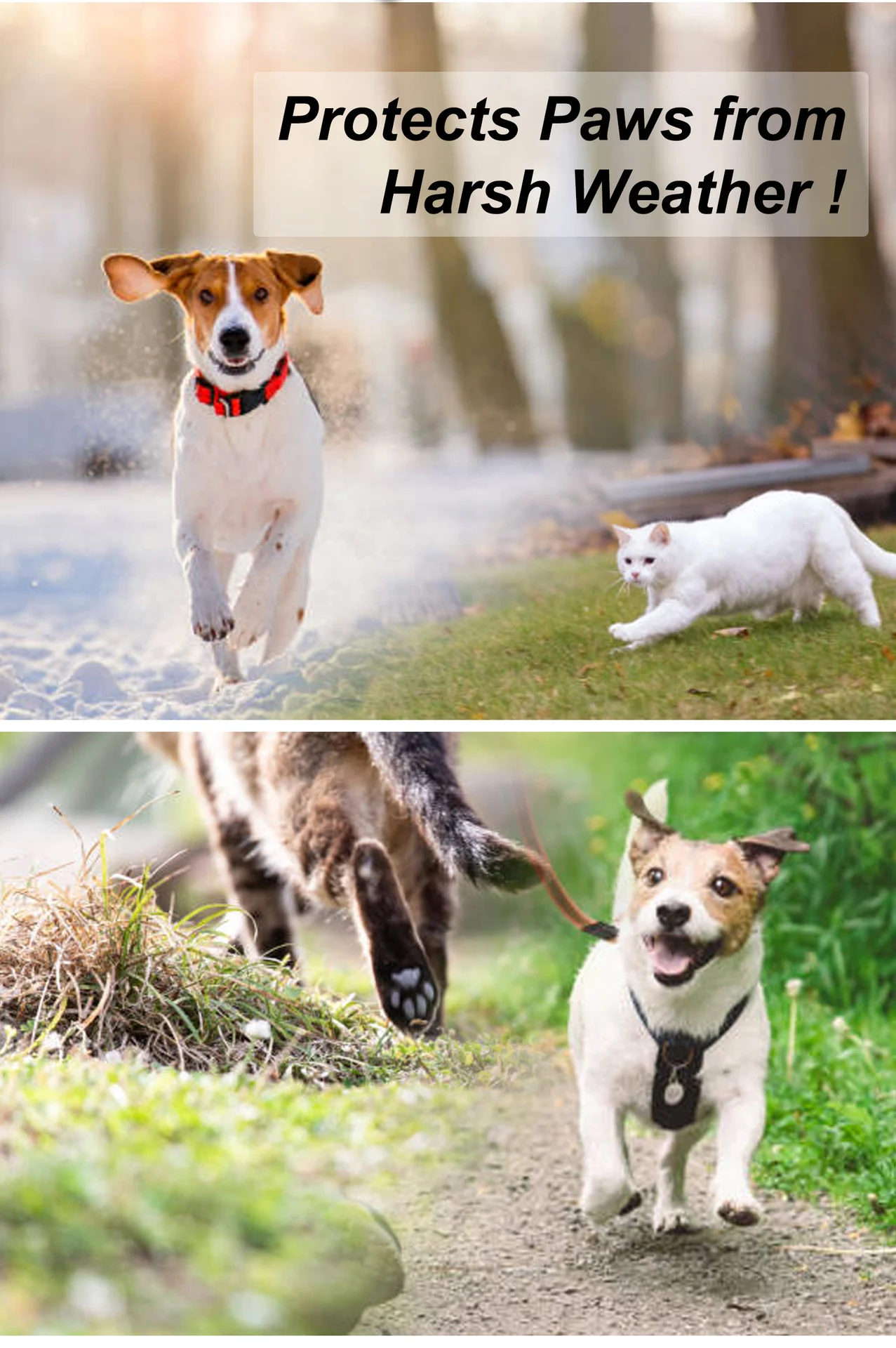 pet paw balm stick spu848320853665 desc 5