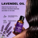 Pure Lavender Essential Oil Spu1013995504480 2