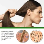 Rosemary Hair Growth Serum Oil Spu723518999785 2