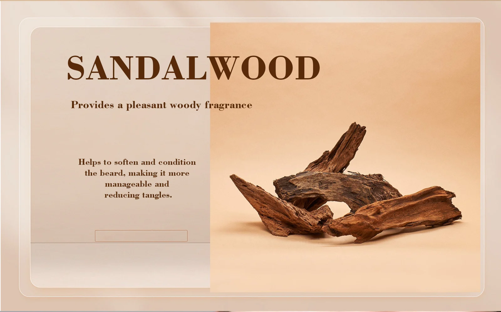 sandalwood beard care kit spu821392112955 desc 4